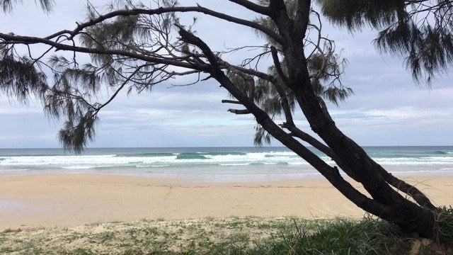 Free Camping Power Options