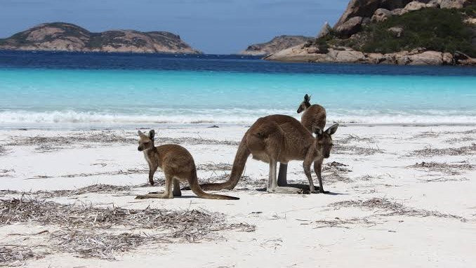 7 of the Best Camping Spots in Australia